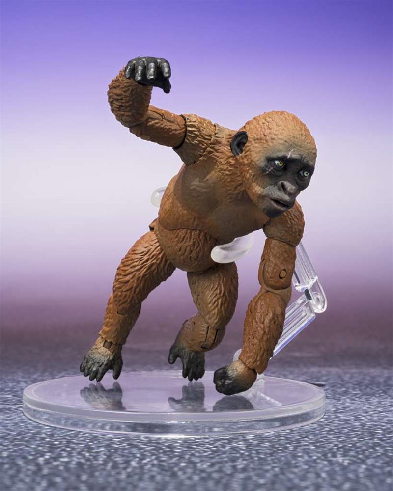 S.H. MONSTERARTS - GODZILLA X KONG THE NEW EMPIRE SUKO & MOTHRA