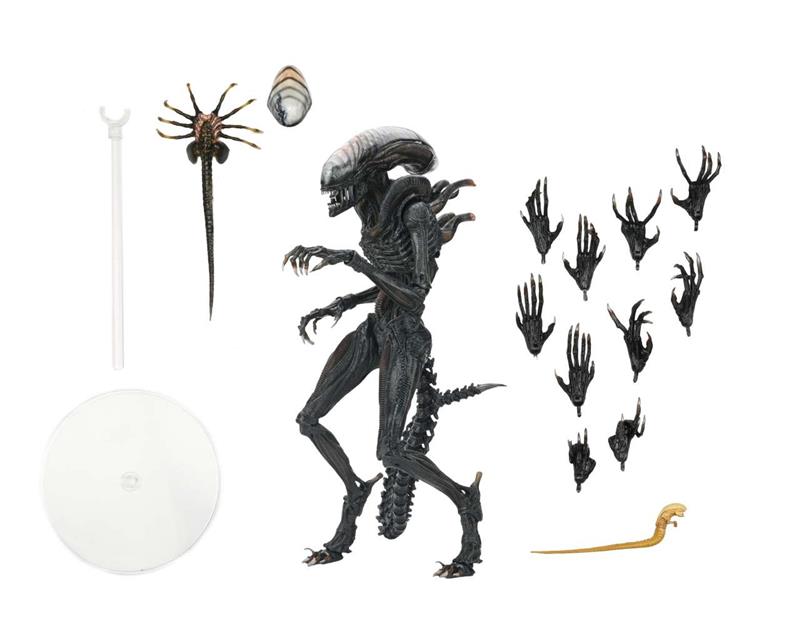 ALIEN ROMULUS SCORCHED XENOMORPH ULTIMATE