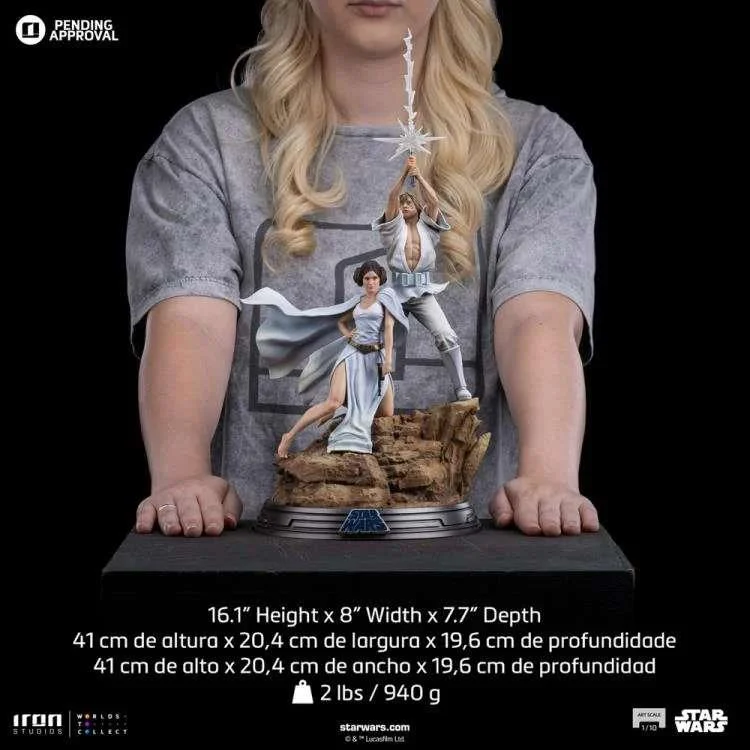 1/10 STAR WARS LUKE AND LEIA DLX