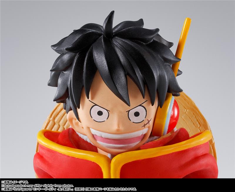S.H. FIGUARTS - ONE PIECE MONKEY D. LUFFY FUTURE ISLAND EGGHEAD