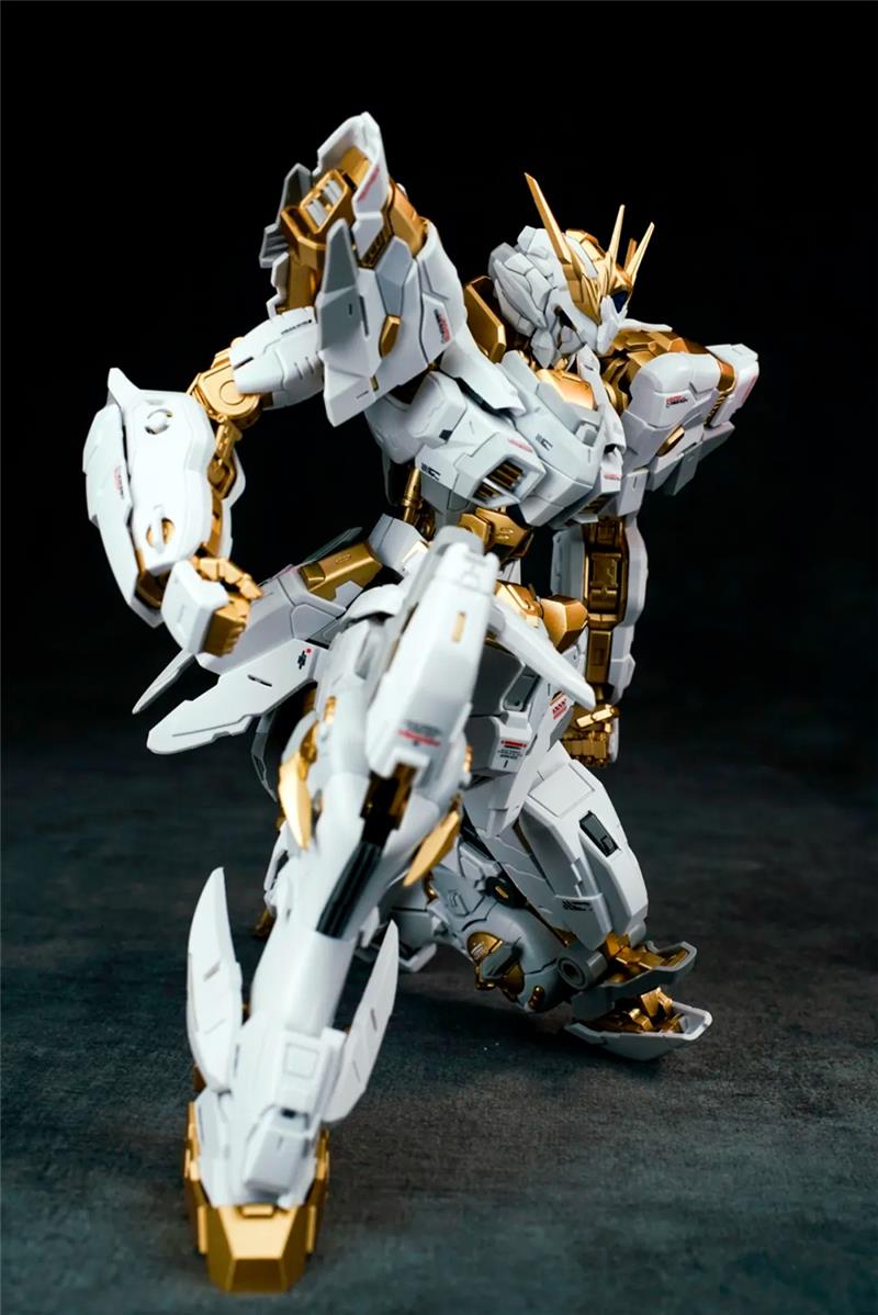 1/100 TIANWEI OBERON