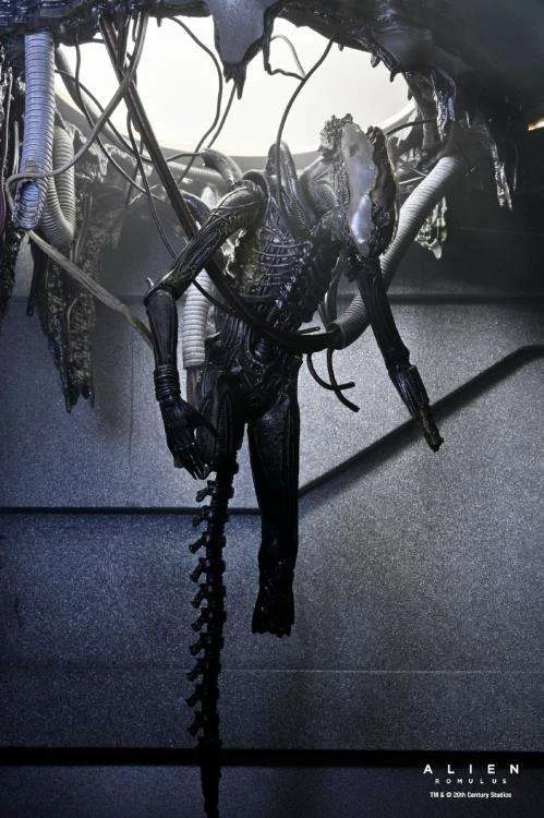 ALIEN ROMULUS DELUXE SUSPENDED LAB XENOMORPH XX121