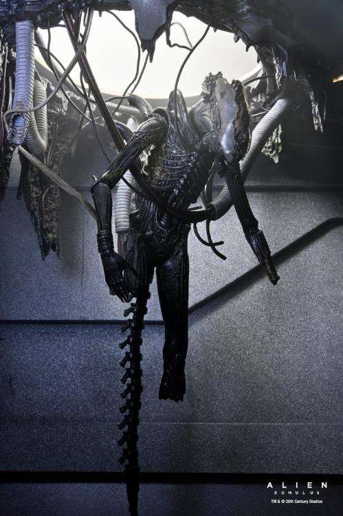 ALIEN ROMULUS DELUXE SUSPENDED LAB XENOMORPH XX121