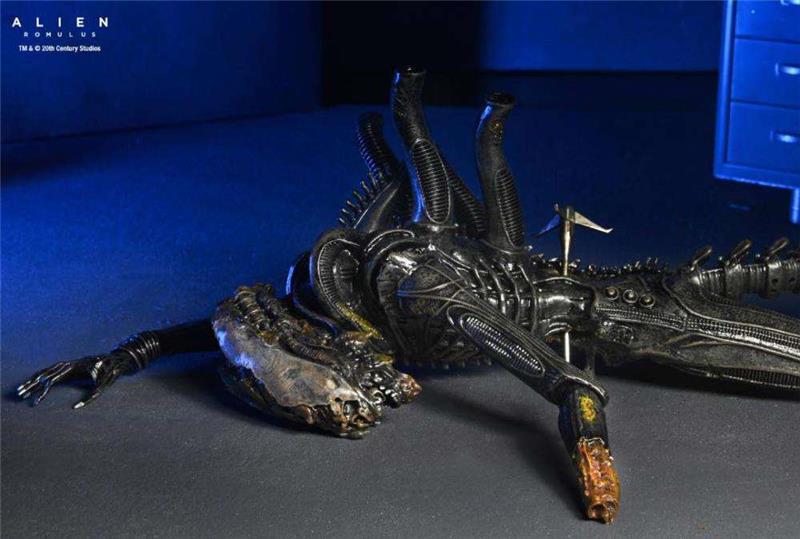 ALIEN ROMULUS DELUXE SUSPENDED LAB XENOMORPH XX121
