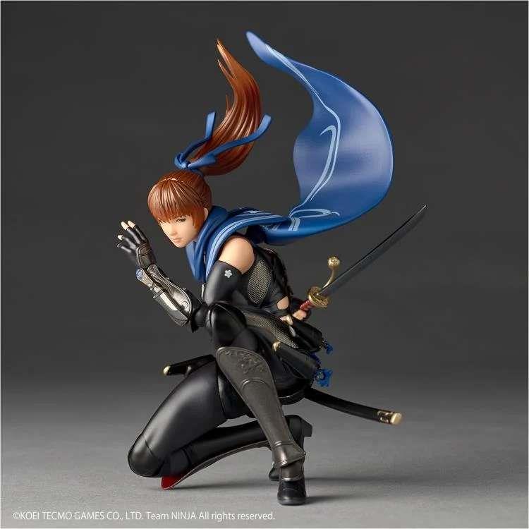 REVOLTECH - A.Y. NINJA GAIDEN KASUMI