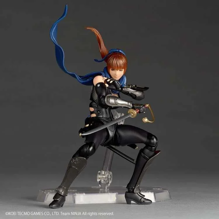 REVOLTECH - A.Y. NINJA GAIDEN KASUMI