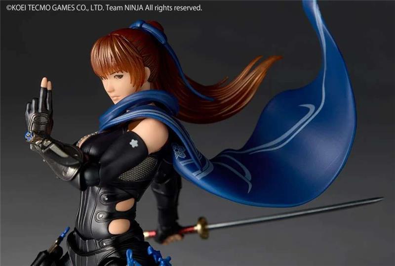REVOLTECH - A.Y. NINJA GAIDEN KASUMI