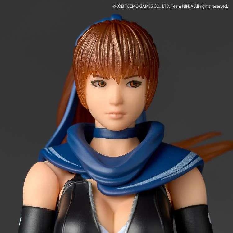 REVOLTECH - A.Y. NINJA GAIDEN KASUMI