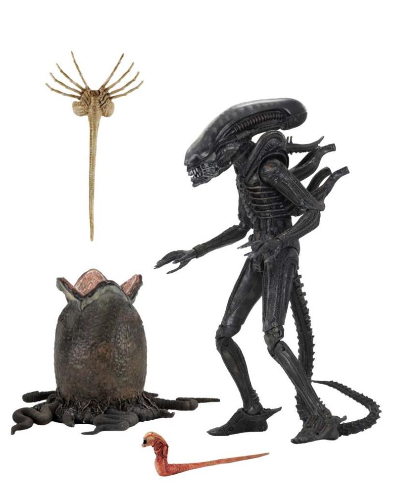 ALIEN ULTIMATE 40TH ANNIVERSARY BIG CHAP