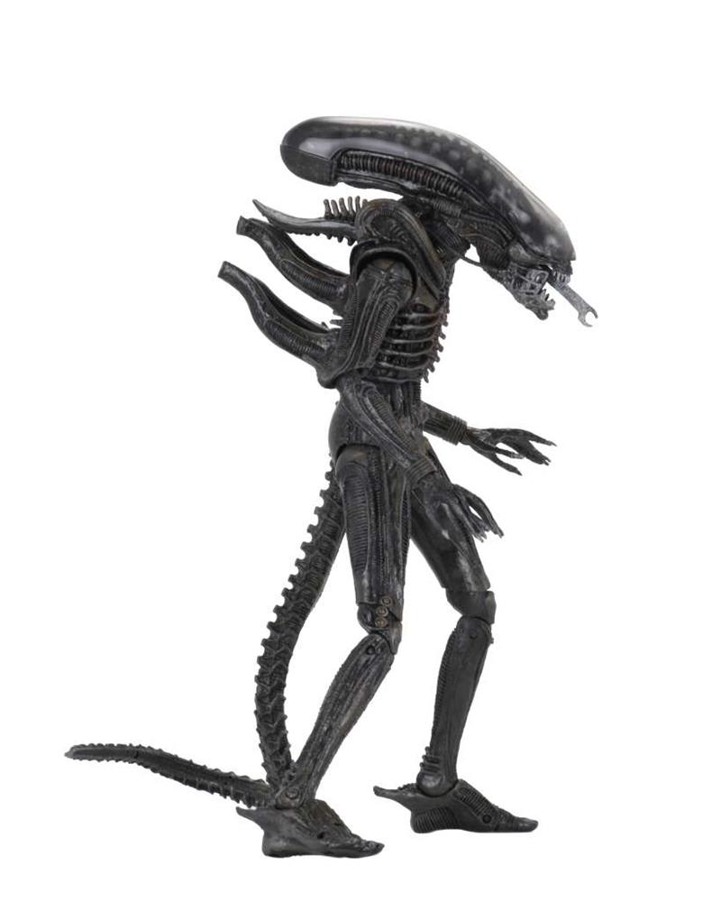 ALIEN ULTIMATE 40TH ANNIVERSARY BIG CHAP