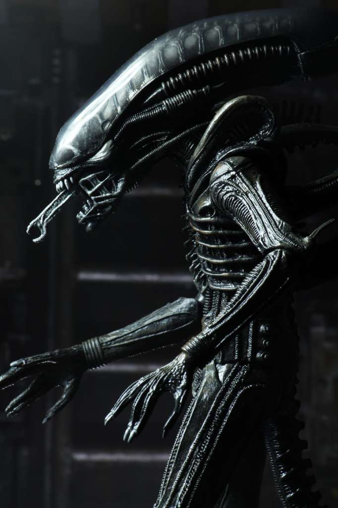 ALIEN ULTIMATE 40TH ANNIVERSARY BIG CHAP