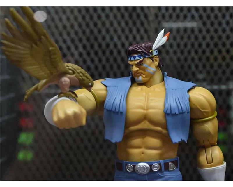 1/12 STREET FIGHTER II - HAWK - DE LUXE