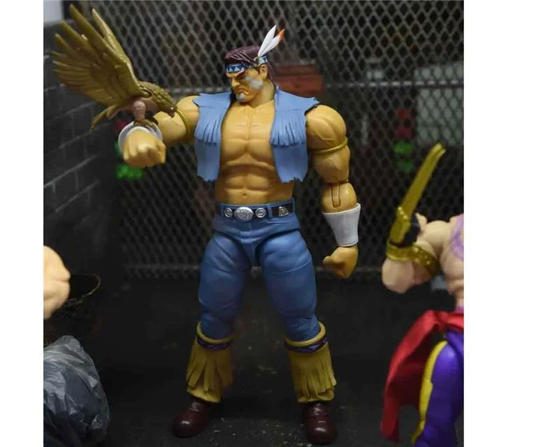 1/12 STREET FIGHTER II - HAWK - DE LUXE