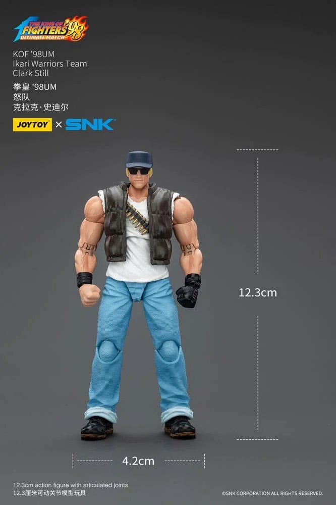 THE KING OF FIGHTERS 