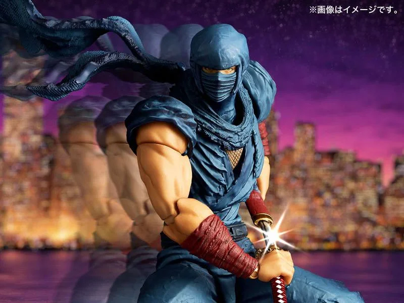 REVOLTECH A.Y. - NINJA GAIDEN RYU HAYABUSA NINJA VER.