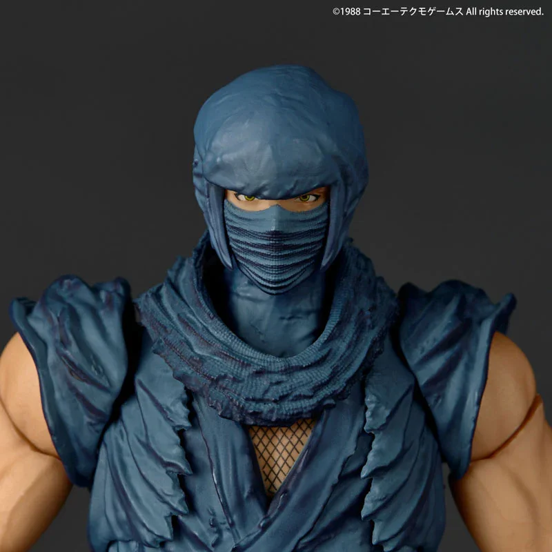 REVOLTECH A.Y. - NINJA GAIDEN RYU HAYABUSA NINJA VER.