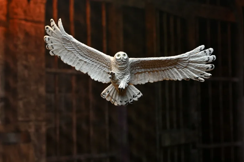 HARRY POTTER LEGACY COLLECTION HARRY POTTER