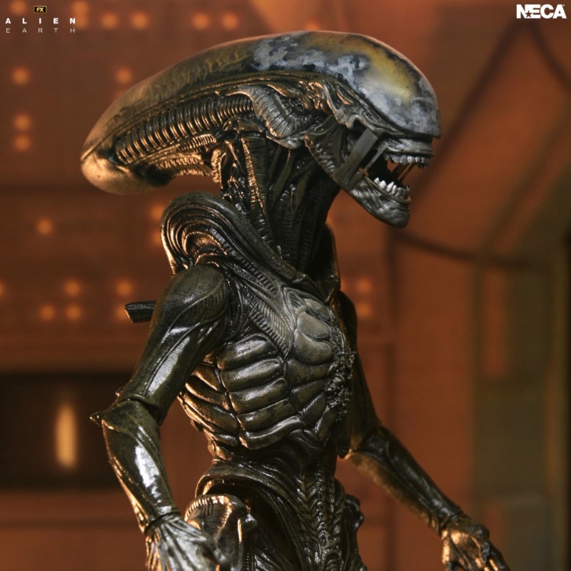 ALIEN EARTH WENDY XENOMORPH ULTIMATE ACTION FIGURE