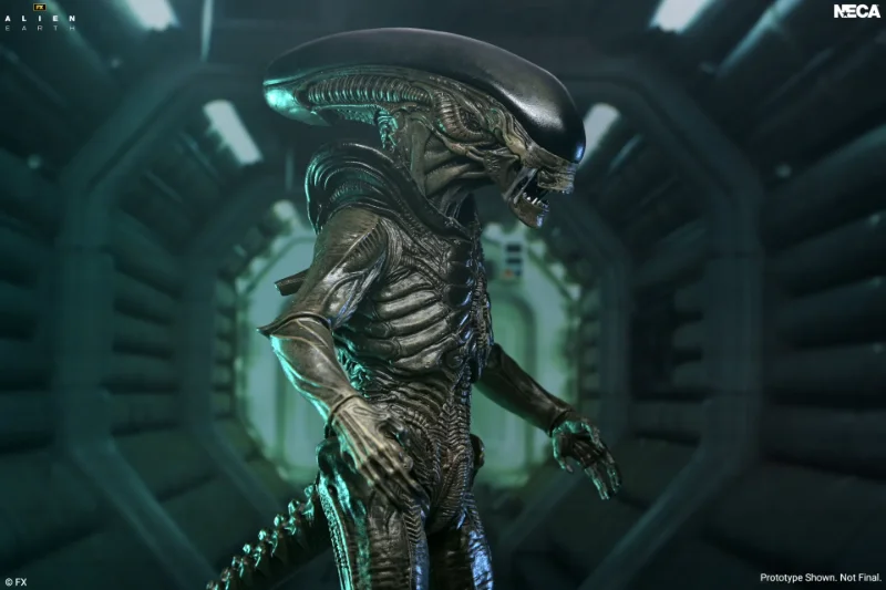 ALIEN EARTH XENOMORPH ULTIMATE ACTION FIGURE