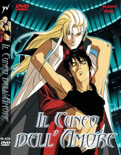 DVD - IL CUNEO DELLAMORE
