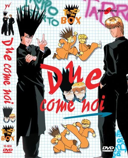DVD - DUE COME NOI (BOX 4 DVD)