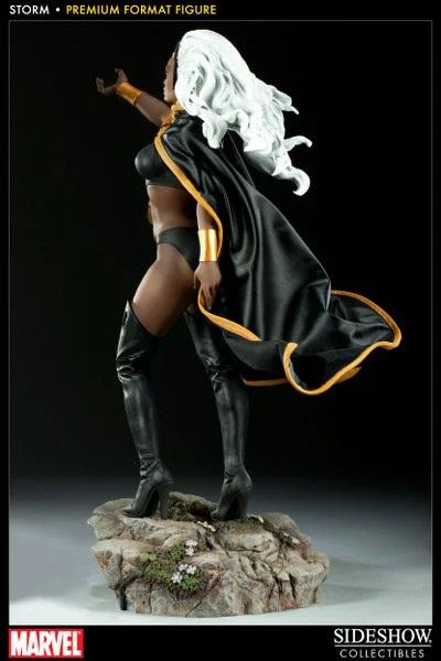 STORM PREM FORMAT FIGURE