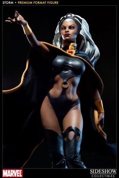 STORM PREM FORMAT FIGURE