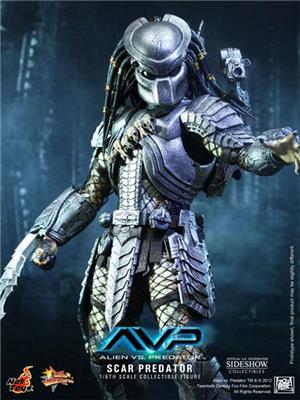 1/6 HOT TOYS - AVP SCAR PREDATOR