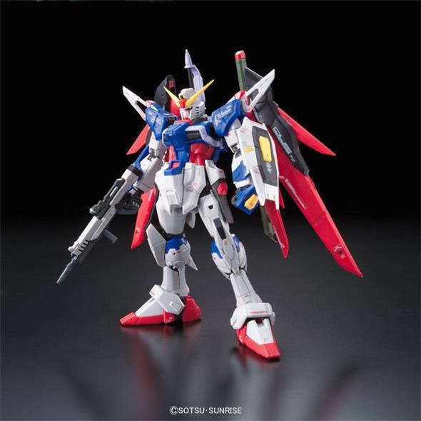 1/144 RG - 011 GUNDAM DESTINY