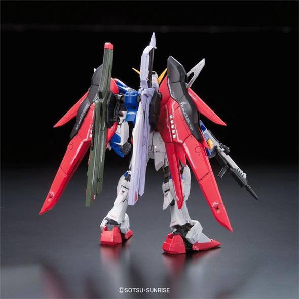 1/144 RG - 011 GUNDAM DESTINY