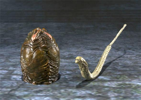 SH MONSTERARTS - MONSTERARTS AVP ALIEN WARRIOR