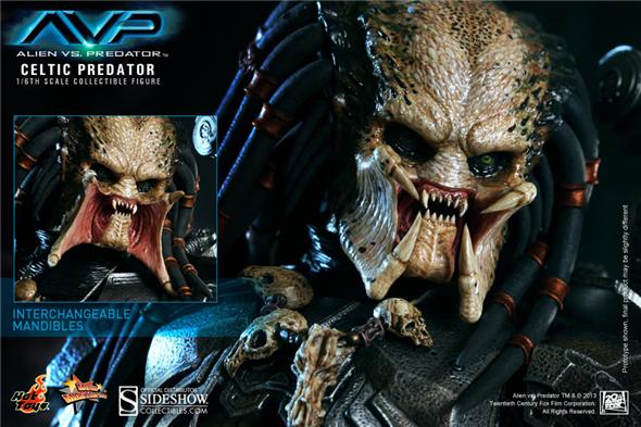 1/6 HOT TOYS - CELTIC PREDATOR