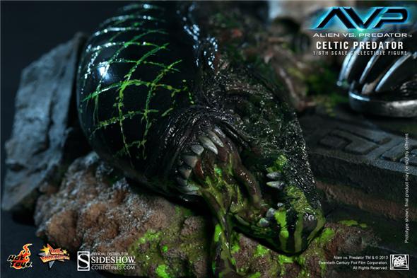 1/6 HOT TOYS - CELTIC PREDATOR