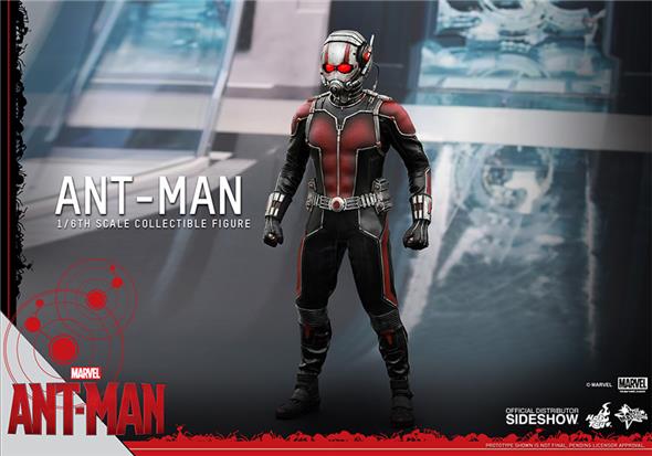 1/6 HOT TOYS - ANT-MAN