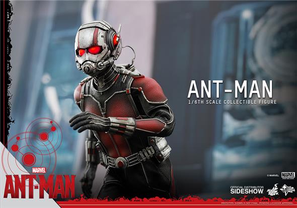 1/6 HOT TOYS - ANT-MAN