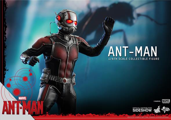 1/6 HOT TOYS - ANT-MAN
