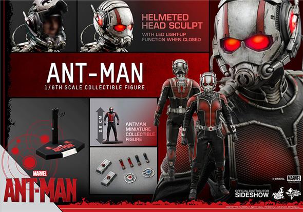 1/6 HOT TOYS - ANT-MAN