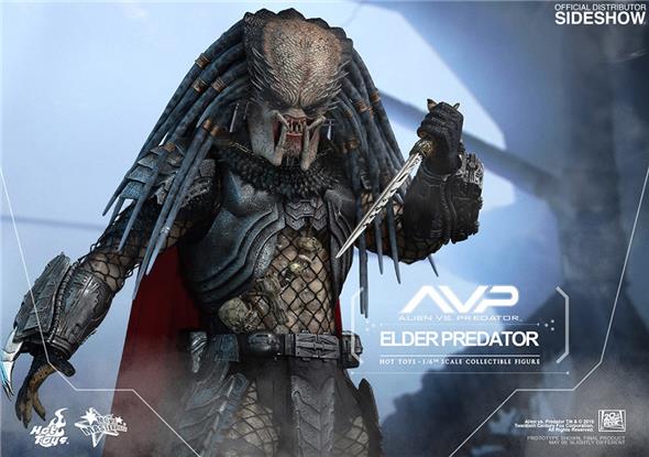 1/6 HOT TOYS - ALIEN VS PREDATOR 12" ELDER PREDATOR AF