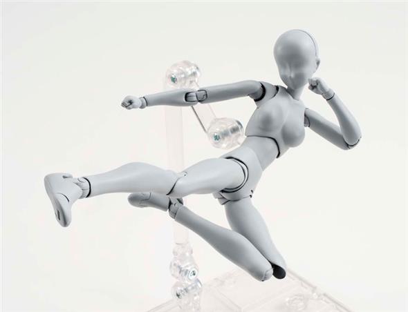 S.H. FIGUARTS WOMAN DX SET GRAY VER FIGUARTS