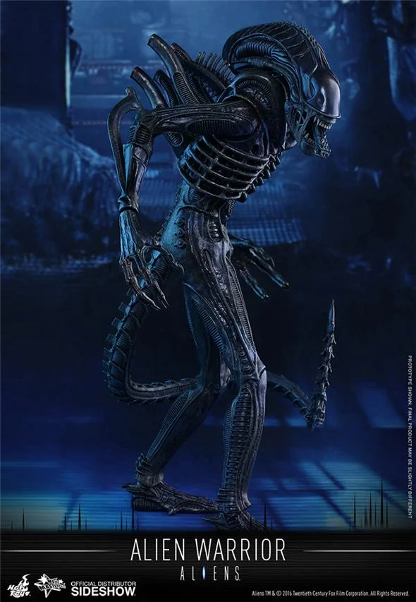 1/6 HOT TOYS - ALIEN WARRIOR