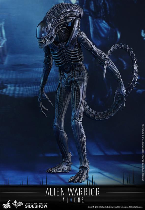 1/6 HOT TOYS - ALIEN WARRIOR