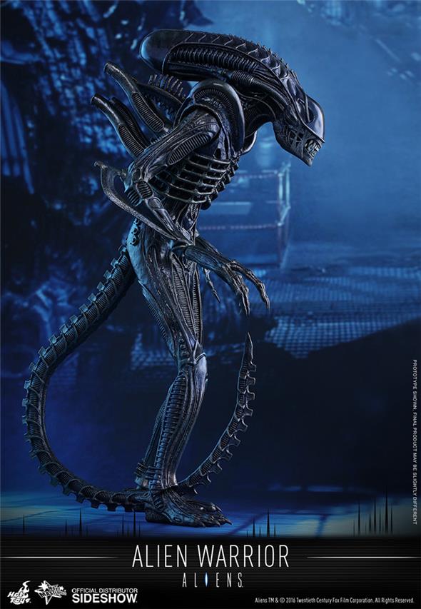 1/6 HOT TOYS - ALIEN WARRIOR