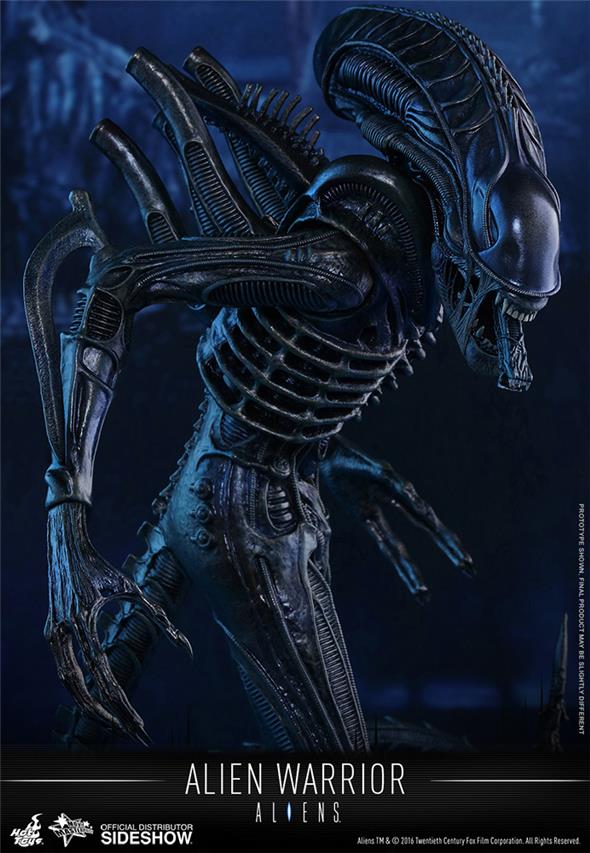 1/6 HOT TOYS - ALIEN WARRIOR