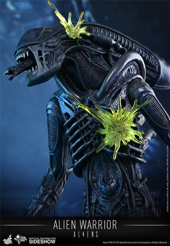 1/6 HOT TOYS - ALIEN WARRIOR