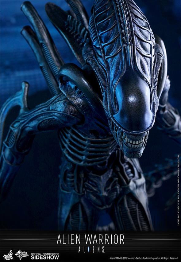 1/6 HOT TOYS - ALIEN WARRIOR