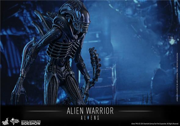 1/6 HOT TOYS - ALIEN WARRIOR