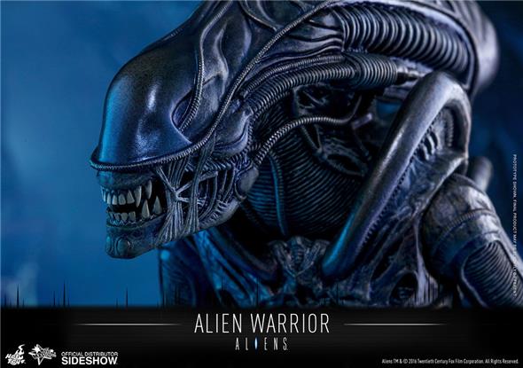 1/6 HOT TOYS - ALIEN WARRIOR