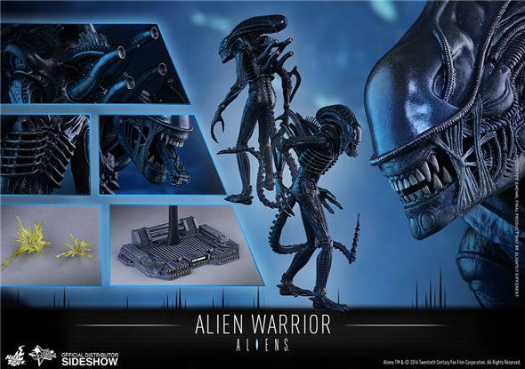 1/6 HOT TOYS - ALIEN WARRIOR