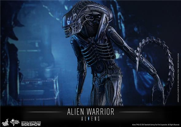 1/6 HOT TOYS - ALIEN WARRIOR