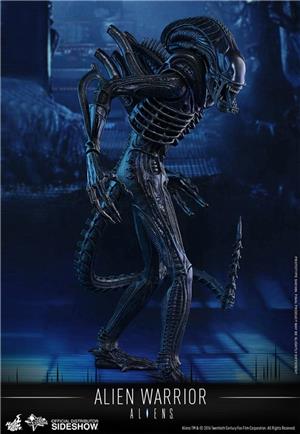 1/6 HOT TOYS - ALIEN WARRIOR